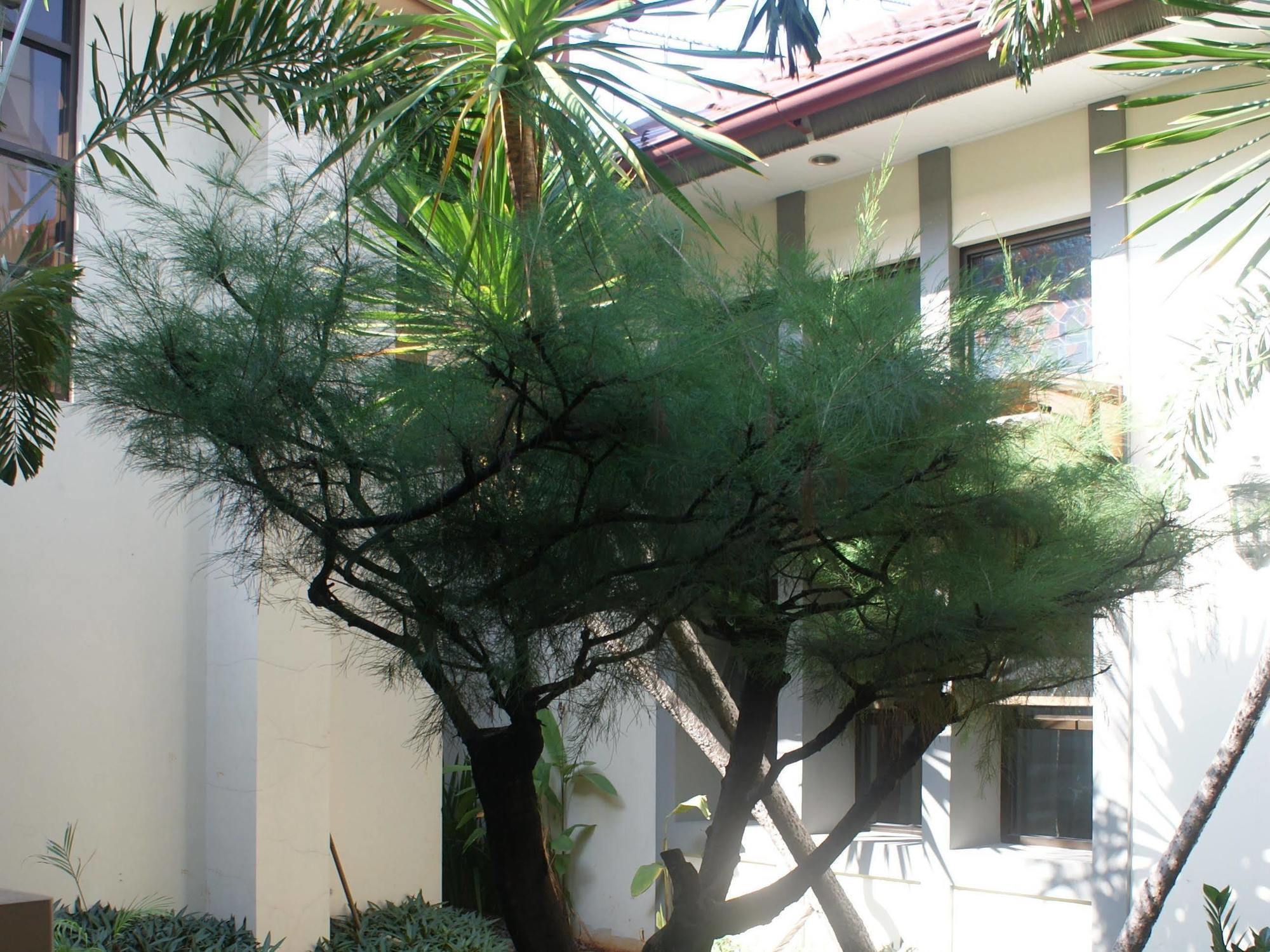 Sofyan Hotel Soepomo Jakarta Exterior foto